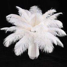 White Ostrich Feathers 24pcs Natural Bulk 10-12Inch 25cm-30cm for Crafts Wedd...