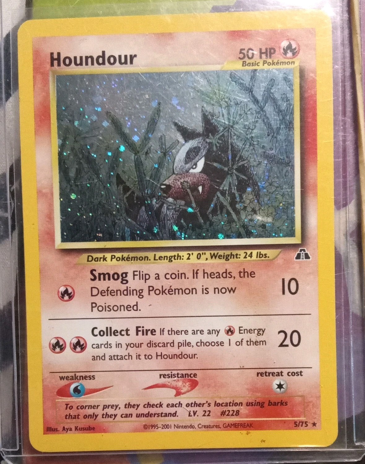 Pokémon TCG Houndour 5/75 Holo Unlimited Neo Discovery NM Rare