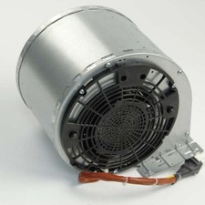 Elica CN1A8A 1/2" Motor, Aluminum, NPT Connection, High Performance