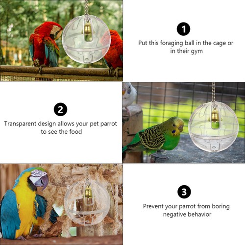 3 Pcs Bird vendu Food Cage Parrot Fruit Fork Parrot Foraging Toy Bird Treat Skewer