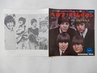 The Beatles Help! / I'm Down Apple Records AR-1412 Japan  VINYL