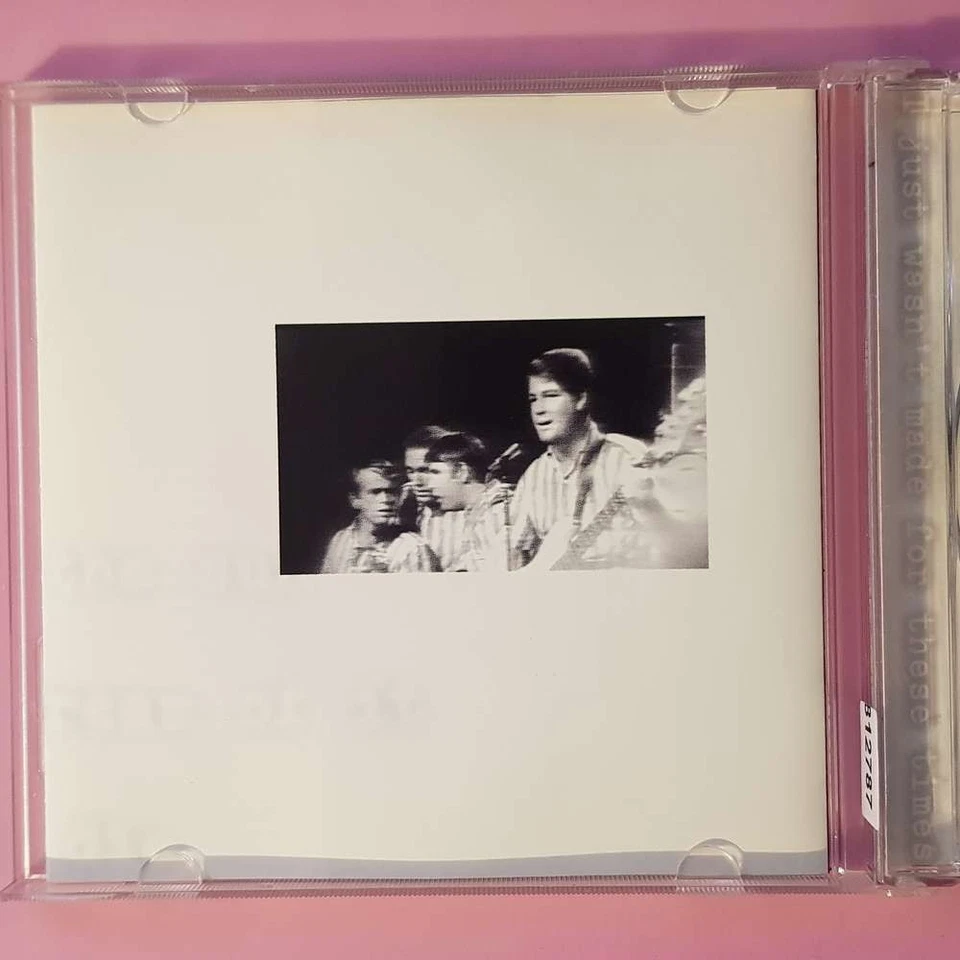 BRIAN WILSON I Just Wasn't Made For These Times DISCT EX/EX (CD) - Bild 2 von 4