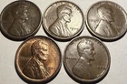 1909 VDB Lincoln Wheat Cent VF/XF/AU - (Qty 5 coins) - #VDB