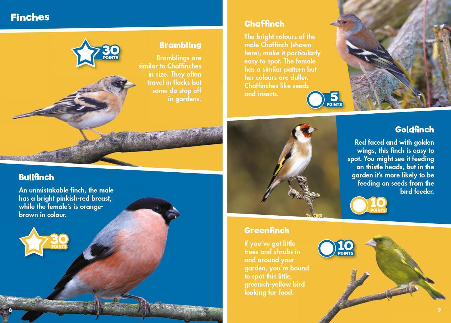Thumbnail - I-spy | I-spy Garden Birds | Taschenbuch | Englisch (2021) | Spy It