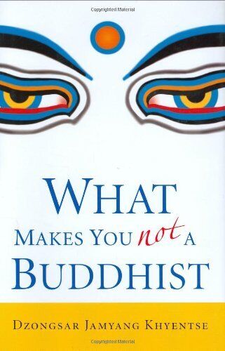 What Makes You Not a Buddhist by Khyentse, Dzongsar Jamyang Hardback Book The - Picture 1 of 2