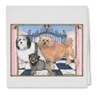 Lowchen Decorative Cotton Kitchen Dish Towel, Pet Gift