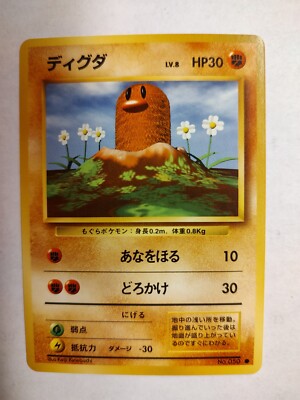 ネクロドミナンス　英語　4枚セット Sce082d234f224b738aaf90a2177d4