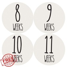 Months In Motion Pregnancy Growth Stickers Set 36