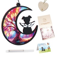 Dog Angel Memorial Suncatcher with Sympathy Cards, Dog Memorial Gifts for Los...