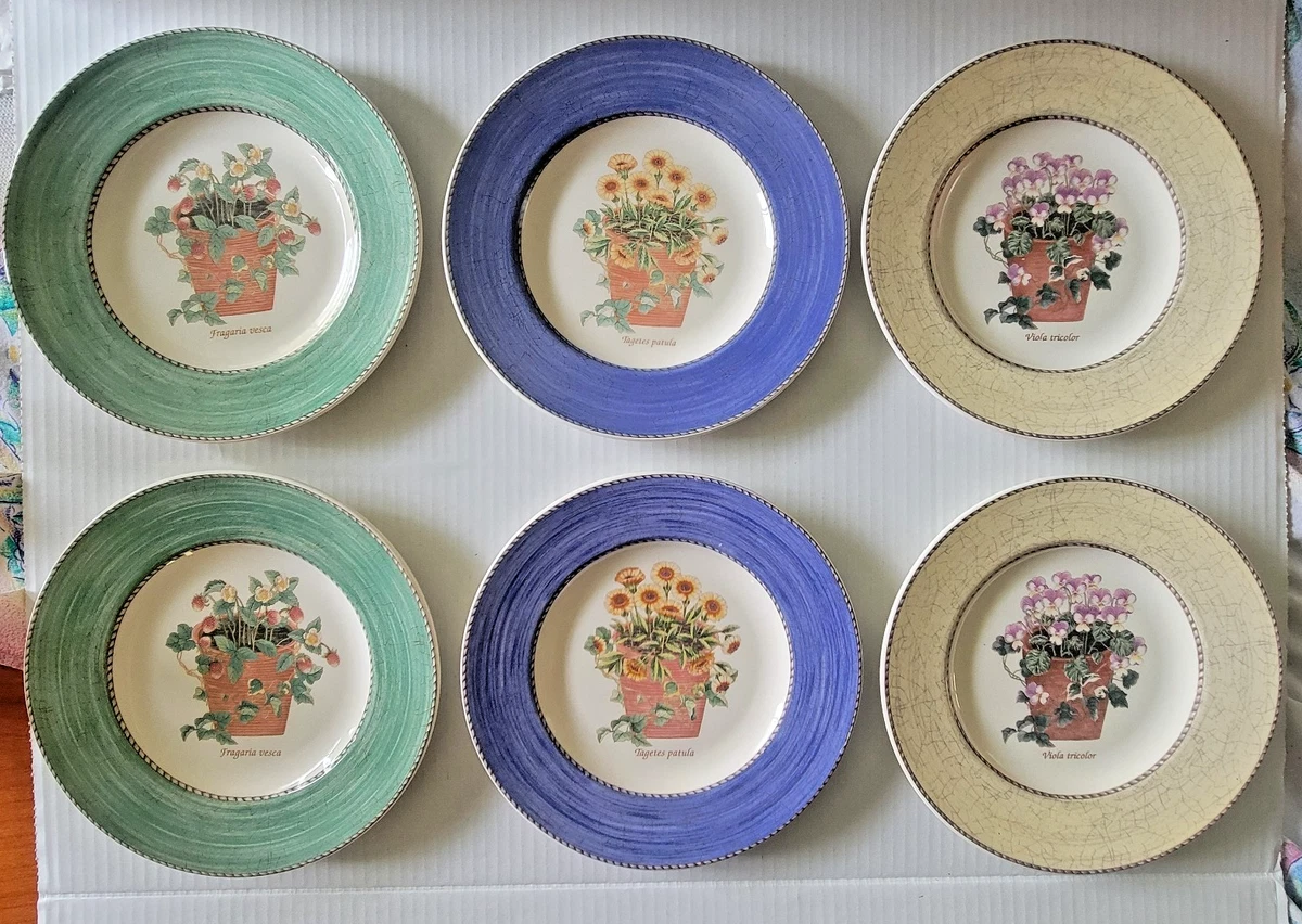 Sarah S Garden for sale | eBay