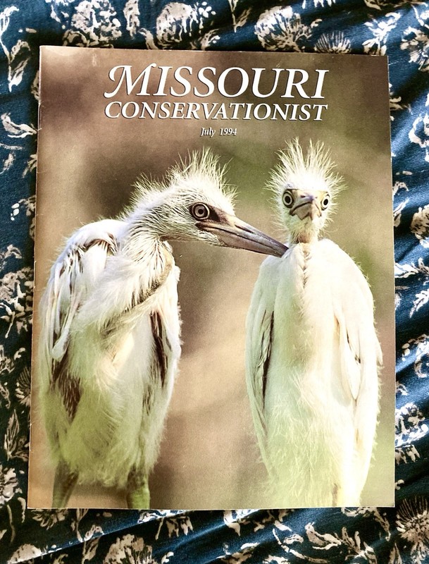 Vintage Missouri Conservationist Magazine July 1994 Bass Fishing Egrets Caves MO