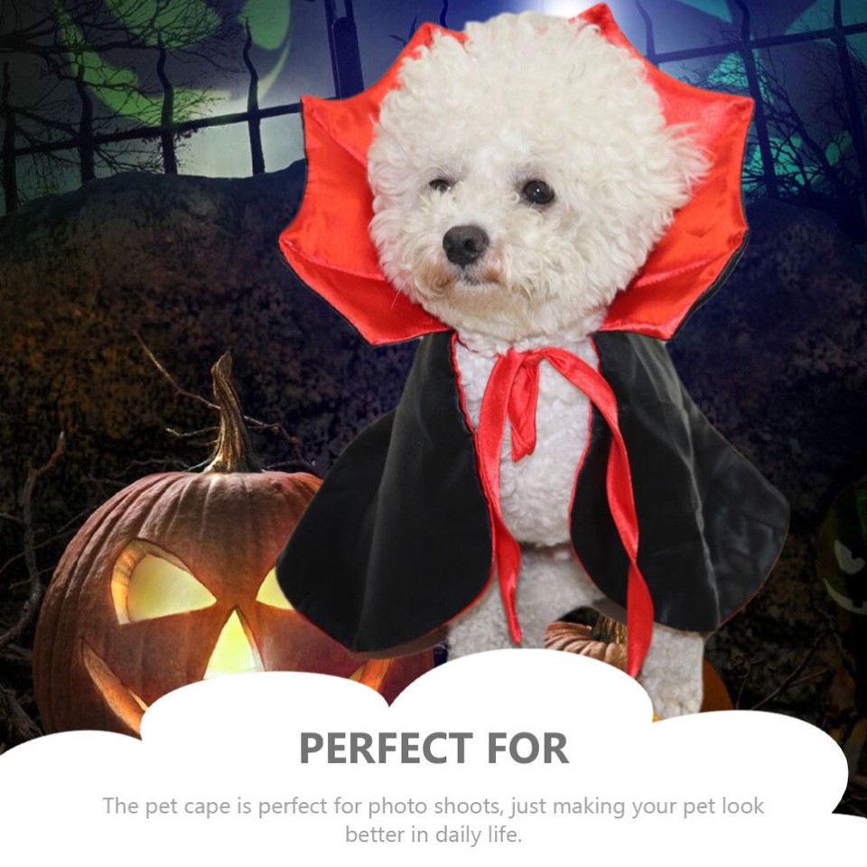 2 Pieces Cat Accessory Puppy Accessories for Small Dogs Halloween Cape eBay