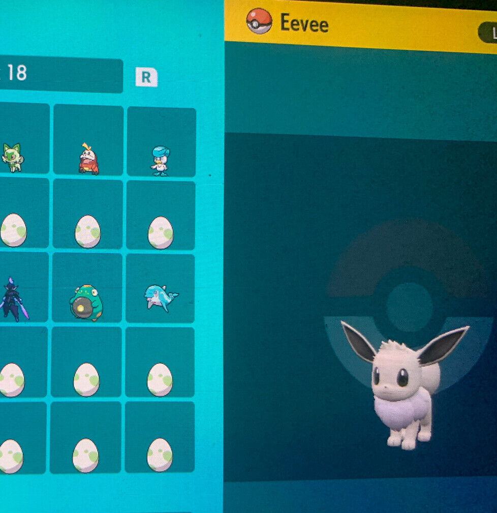 Pokemon Scarlet & Violet / X8 EEVEE EVOLUTION Shiny Egg Pack 