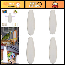 Large Cuttlebone for Birds 6.29"-7" - Calcium Cuddle Bone for Parrots  Tortoise