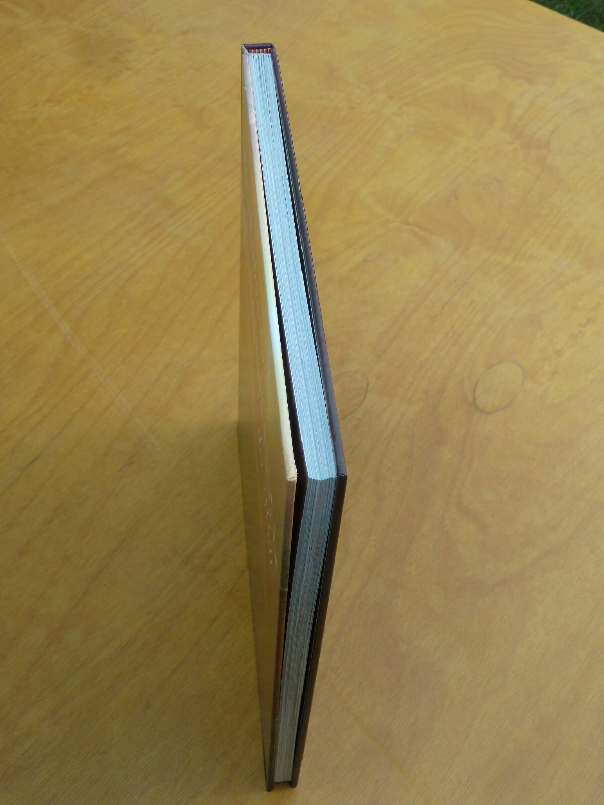 Bild 44 von 44