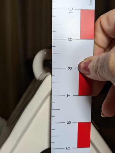 Rae Dunn Artisan Collection by Magenta KNOCK Ceramic Bird House  Nest On Back - Picture 15 of 16