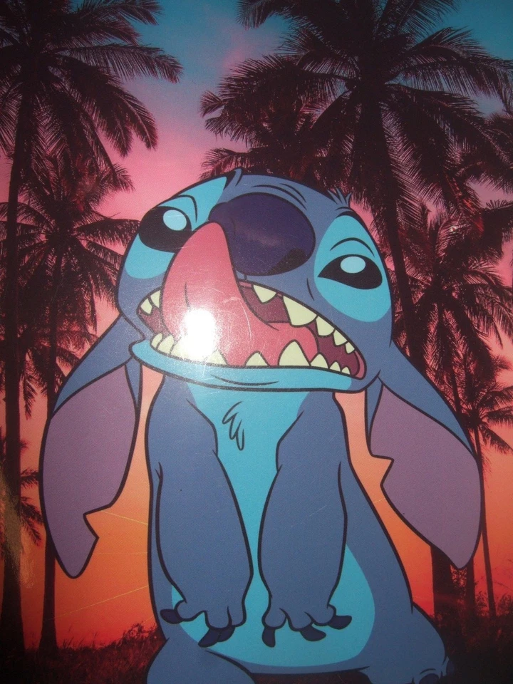 Manta polar de felpa Lilo And Stitch hawaiana sol palmeras puesta de sol Disney Foto 4 de 4