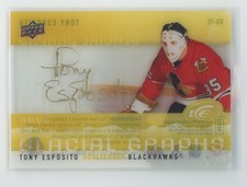 2015 Upper Deck Chicago Blackhawks Stanley Cup Champions Hockey Cards 18