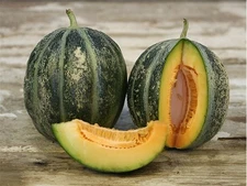 40ct Organic Heirloom Emerald Gem Melon Seeds -Intensely Sweet Rare Melon 3LB