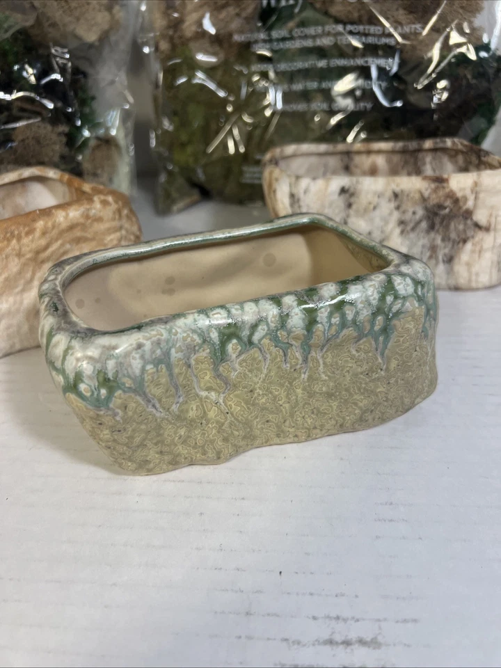 Lote de piedras para macetas suculentas musgo sin usar con orificios de drenaje Foto 3 de 4