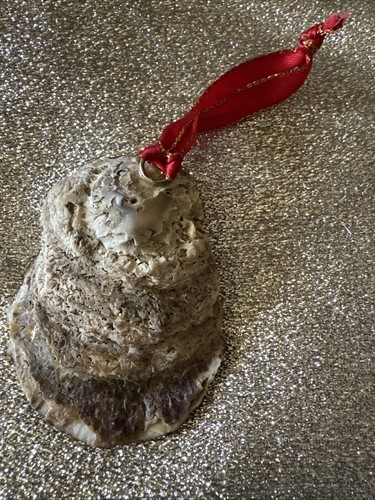 Oyster Shell Christmas Ornament Decoupage Nativity Scene Gold Trim 3" Decoration - Picture 6 of 7