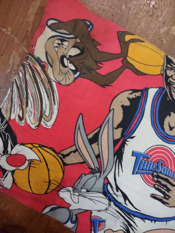 Almohada de colección Space Jam Looney Tunes Squad Jordan, Taz, Lucas, Bugs, Silvestre  Foto 2 de 4