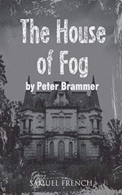 The House of Fog by Peter Brammer (Paperback, 2014)