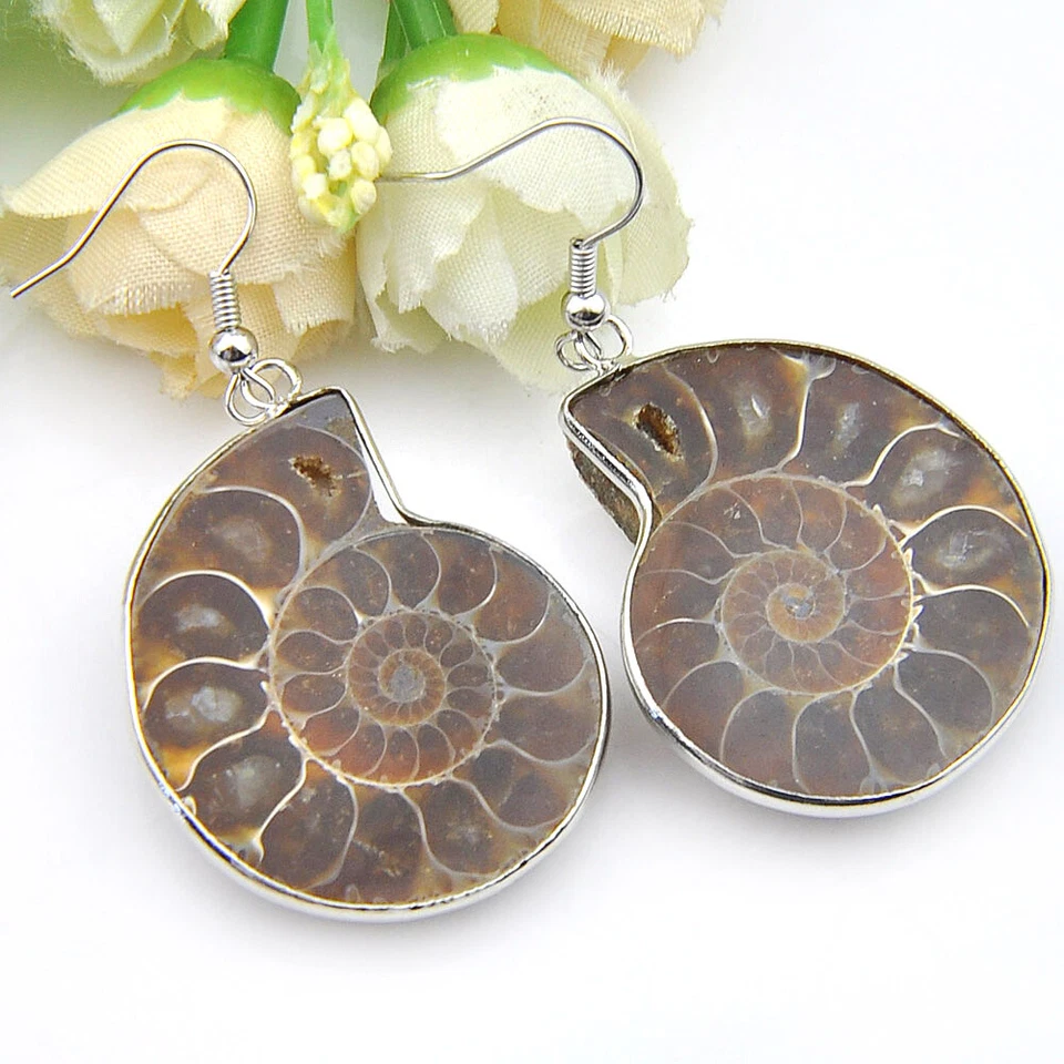 Vintage Silver Natural Ammonite Fossil Gems, Amethyst Gems Silver Hook Earrings  - Image 3 of 4