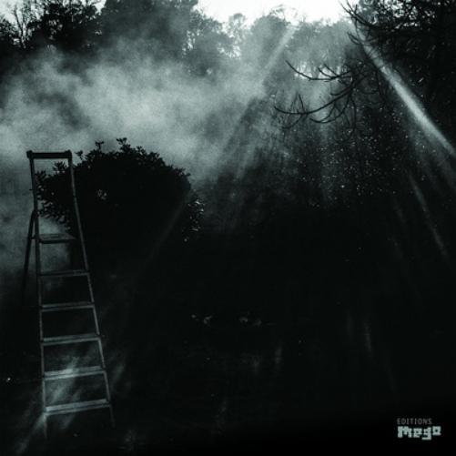 Reinhold Friedl & Eryck Abecassis Animal Électrique (Vinyl LP) 12" Album