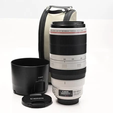 Canon EF 100-400mm f4.5-5.6 L IS II USM Lens #244