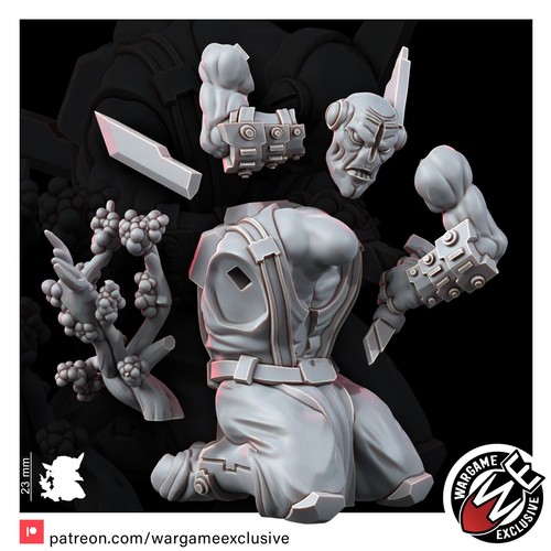GRANDES BUENAS BAJAS - Imagen 9 de 9
