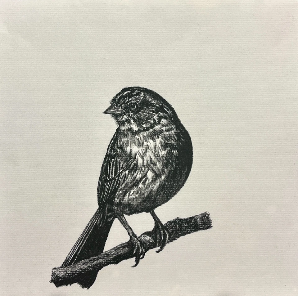 Arte firmado en lienzo GUAJARDO boceto original Bird Study-3 10X10 Foto 2 de 4