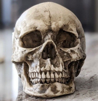 8.5 in big size originally skull head  mold Resin, plaster, soap,candle mold 0-9