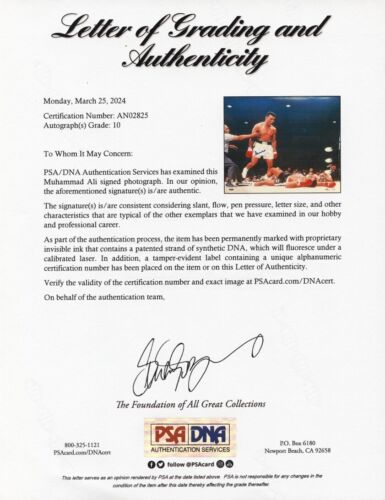 L@@K Muhammad Ali Sonny Liston Signed 16x20 Photo Steiner PSA/DNA AUTO GRADE 10 - Picture 4 of 4