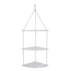 Corner Shelf Lovers Shelves Floating Pot Rack Hanging Shelving Wall
