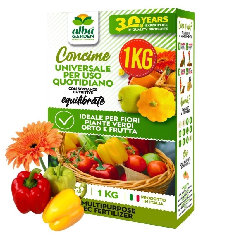 Foto 1 di 10