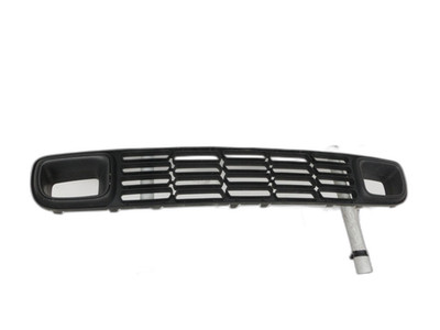 Lufteinlassgitter für Stoßstange Stoßfänger Vorne MINI Countryman R60 10-14 B11