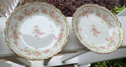 Piatto vintage Limoges Primrose Berry - porcellana francese dipinta a mano, bordo oro - Foto 7 di 7