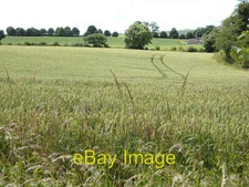 Photo 6x4 Wheat field at Llanwarne Looking towards the Old Manor House. c2008