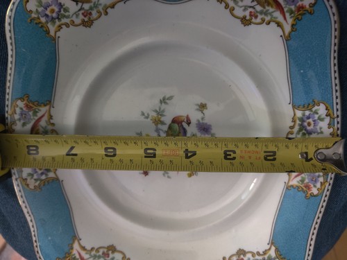 TOSCANO INGLESE FINE BONE CHINA PIATTO PAVONE BCM/Toscano 9/5/8 - Foto 17 di 24