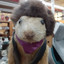 Eddies Village Antiques
