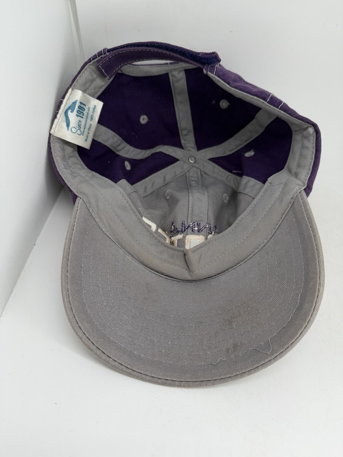 Anna Coyotes Ball Cap Hat Adjustable - image 3