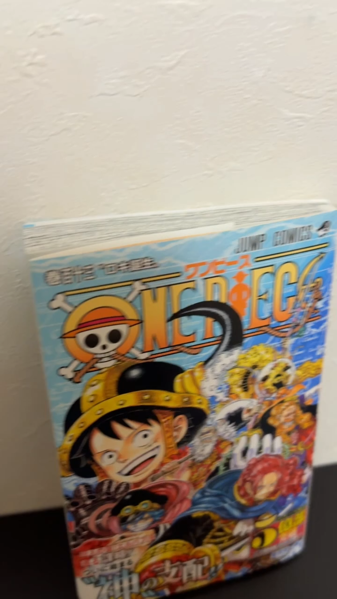 One Piece Manga Vol.113 Japanese Edition by Eiichiro Oda | 2025