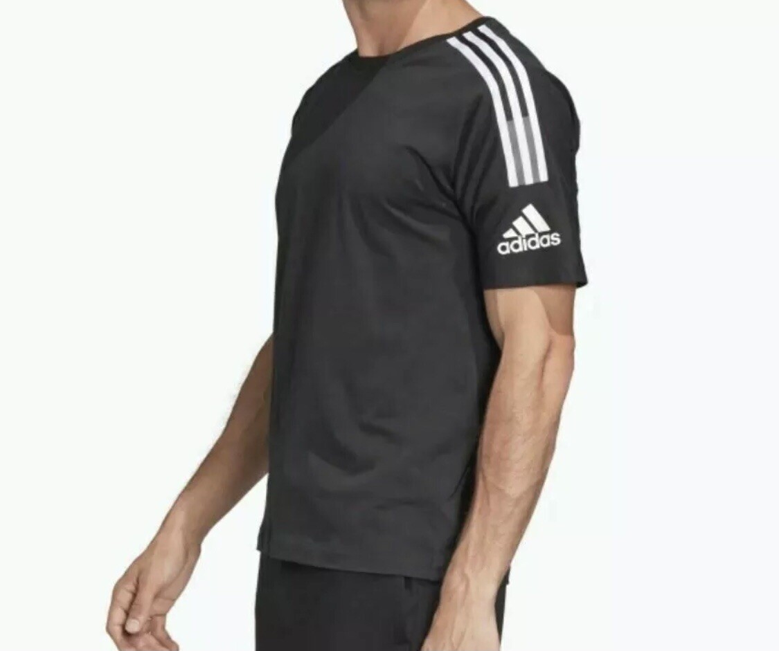 Foto 1 di 7