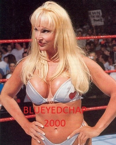 DEBRA MCMICHAEL GIRL WRESTLER 8 X 10 WRESTLING PHOTO WWF | eBay