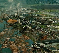 Weyerhaeuser Longview Operation Washington LOGS IN RIVER! Vintage Postcard 6525