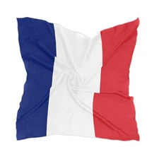 Women's Fashion Silk Scarf French Flag Square Satin Headscarf Neck Scarf Head...