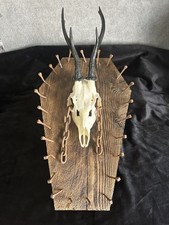 Rehbock Schädel Sarg Brett mit Schmiedenägeln Gothic Wanddeko Dekoration Trophäe