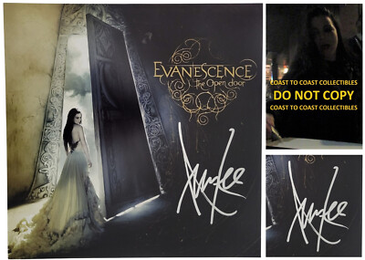 Amy Lee signed Evanescence The Open Door 12x12 photo COA proof autographed