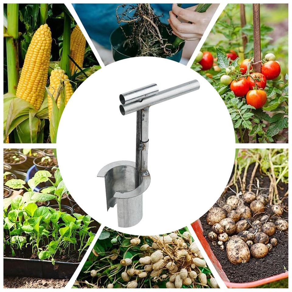 Precision Transplanter for Various Soil Conditions Improve Planting